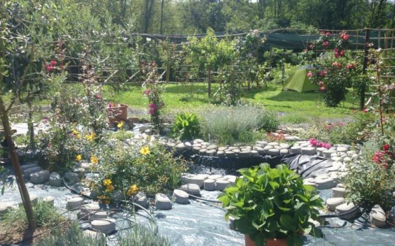 Arcola camping Arcola camping